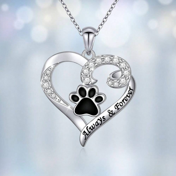 Collana con Zampa del Cane del Cuore Delicato in Acciaio Inox