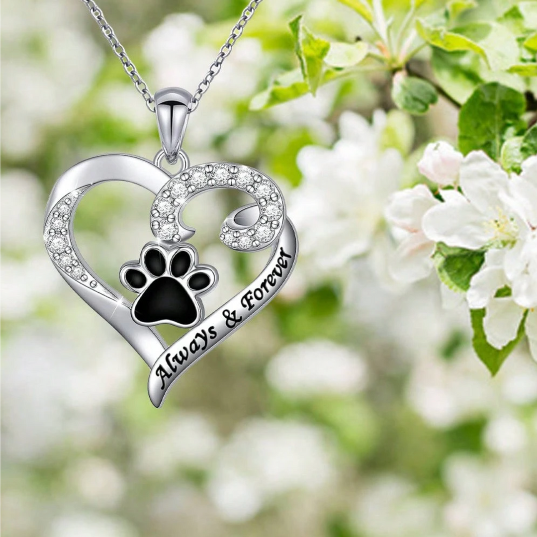 Collana con Zampa del Cane del Cuore Delicato in Acciaio Inox