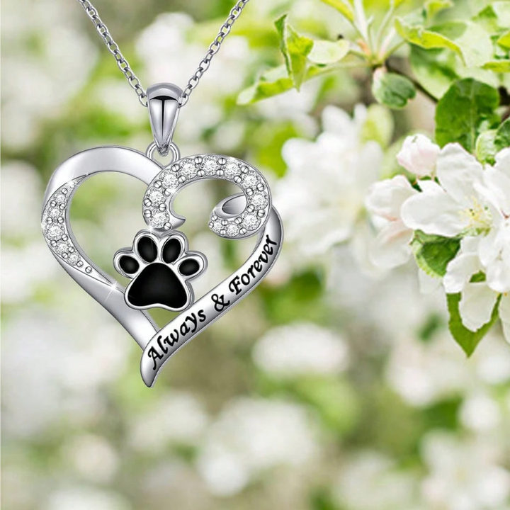 Collana con Zampa del Cane del Cuore Delicato in Acciaio Inox