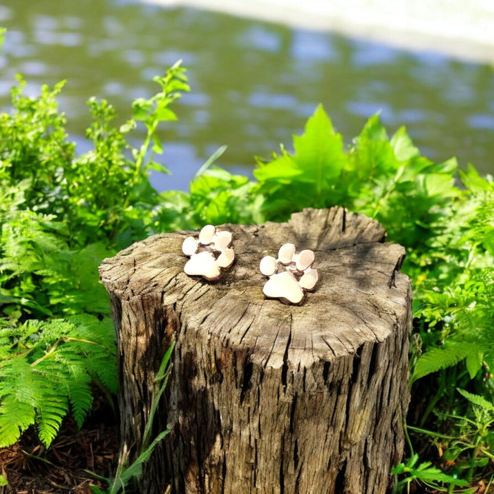 Orecchini a forma di zampa in acciaio inossidabile ipoallergenico