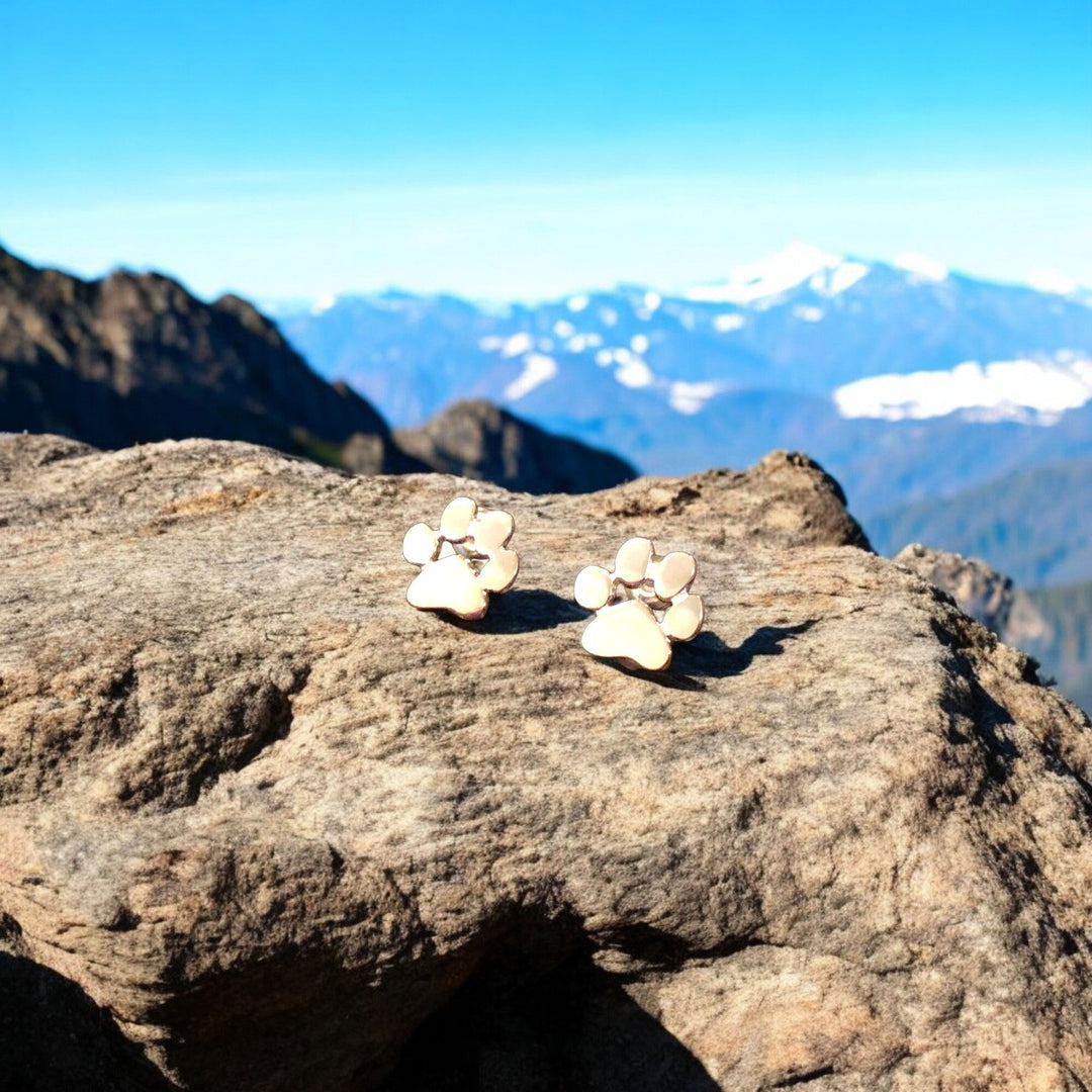 Orecchini a forma di zampa in acciaio inossidabile ipoallergenico